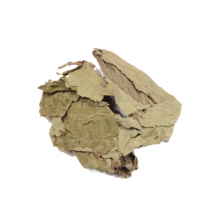 images/productimages/small/Salvia divinorum leaves-bladeren.png